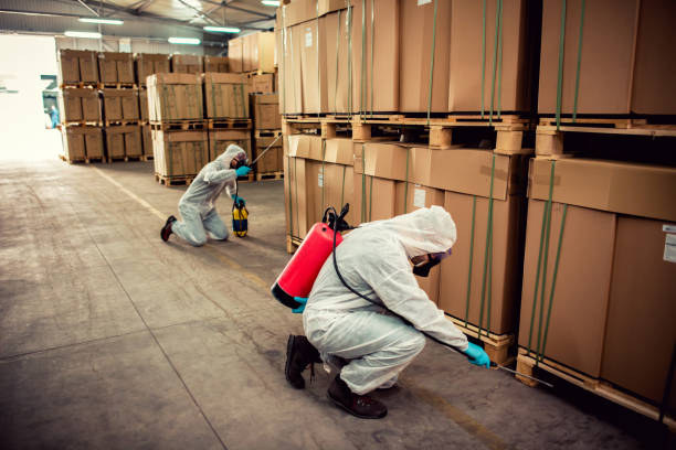 Best Residential Pest Control  in Hebbronville, TX