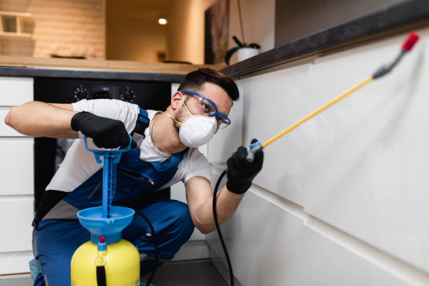 Best Pest Inspection Near Me  in Hebbronville, TX