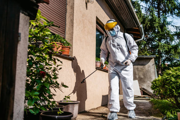 Best Best Pest Control Companies  in Hebbronville, TX