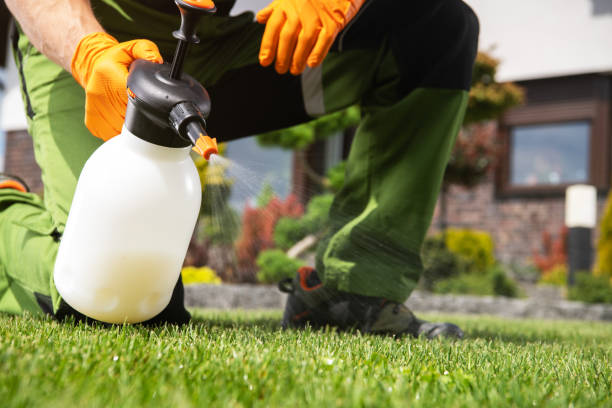 Professional Pest Control in Hebbronville, TX