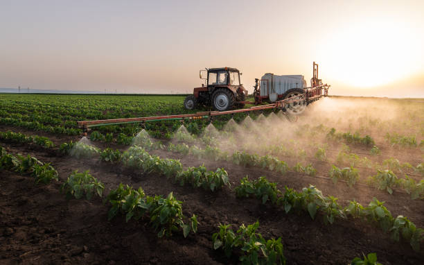Best Pest Inspection Near Me  in Hebbronville, TX