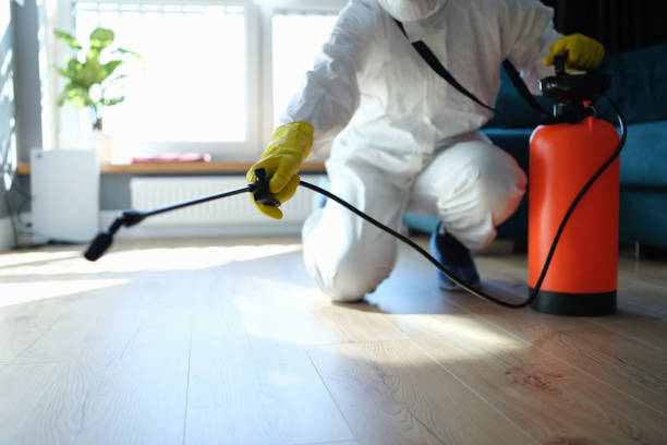 Best Pest Removal Services  in Hebbronville, TX