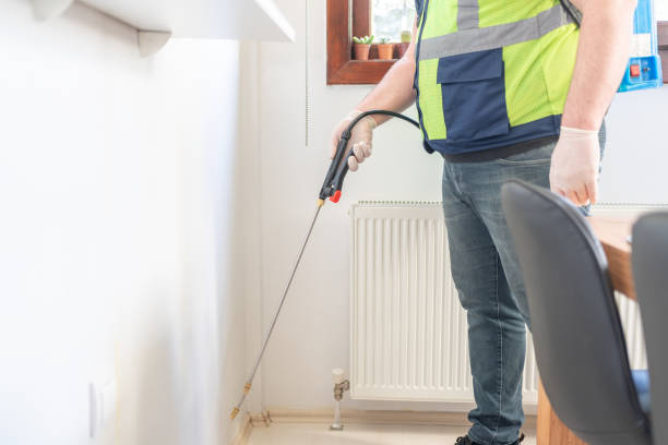 Best Pest Control Near Me in Hebbronville, TX