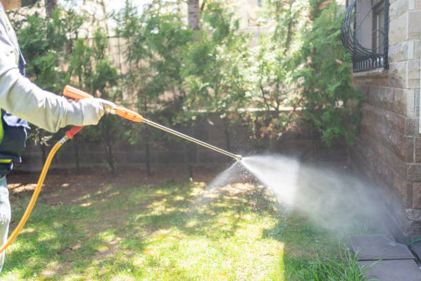 Best Rat Extermination Near Me  in Hebbronville, TX