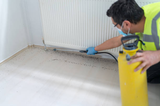Pest Control for Restaurants in Hebbronville, TX